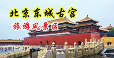 抽插高潮视频国产中国北京-东城古宫旅游风景区